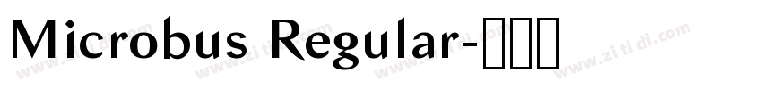 Microbus Regular字体转换